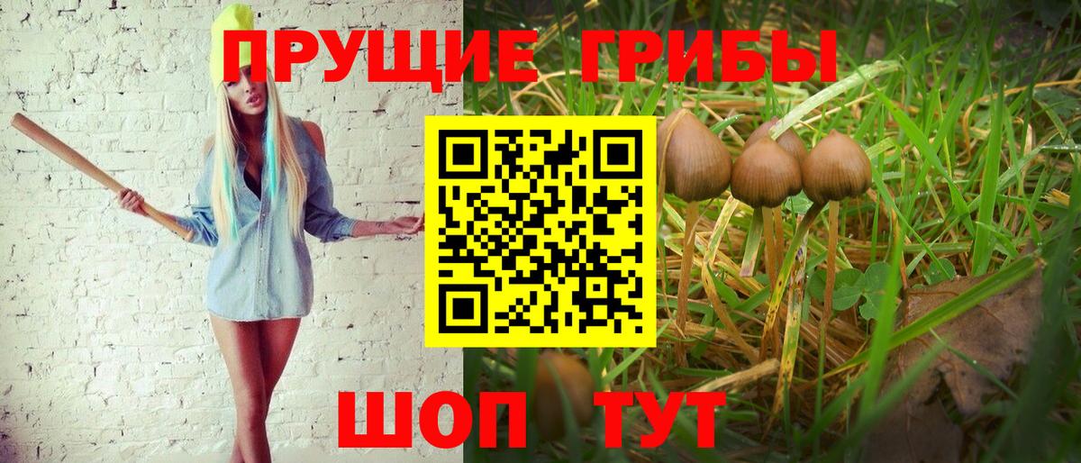 Псилоцибиновые грибы прущие грибы  Псилоцибиновые грибы GOLDEN TEACHER  Вход с VPN  Пыть-Ях 